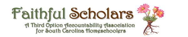 Faithful Scholars - South Carolina third option accountability group